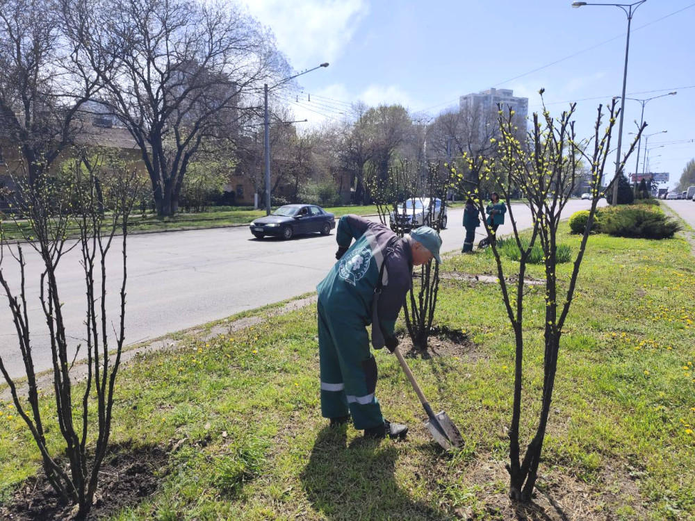 3416 image for slide