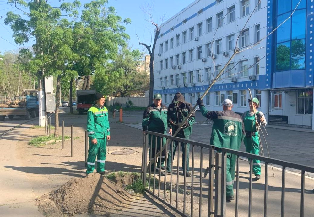 3417 image for slide