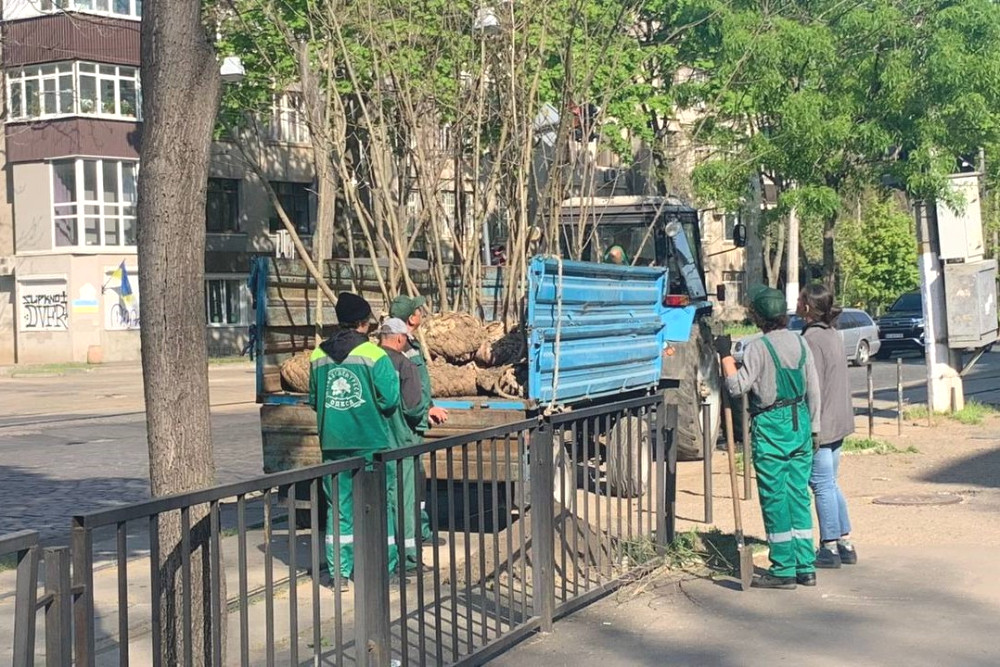 3418 image for slide