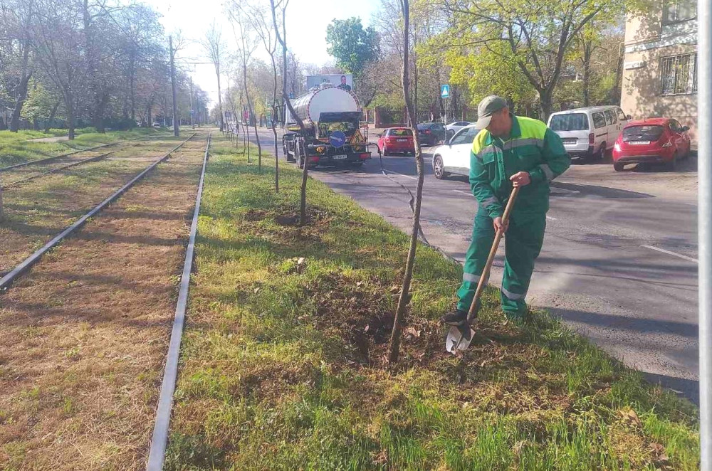 3419 image for slide