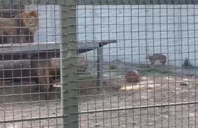 3640 image for slide