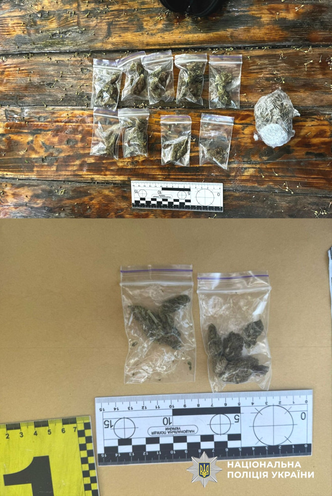 4507 image for slide