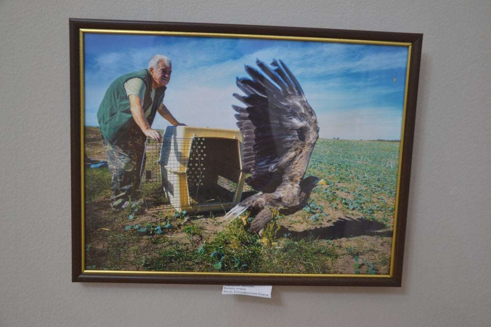 5703 image for slide