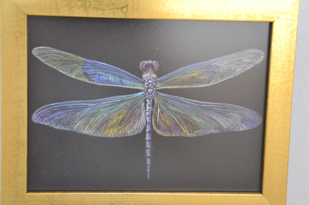 5704 image for slide