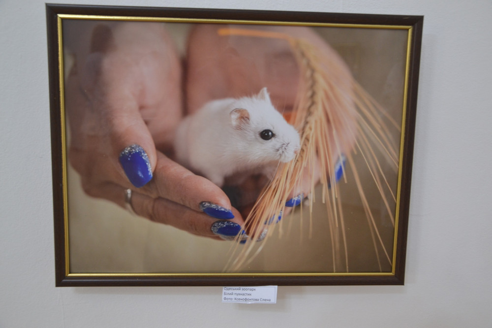 5706 image for slide