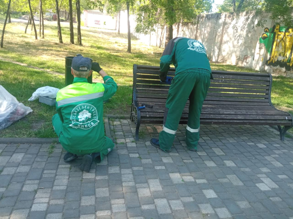 6136 image for slide