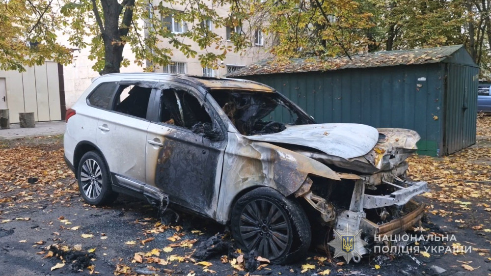 8287 image for slide