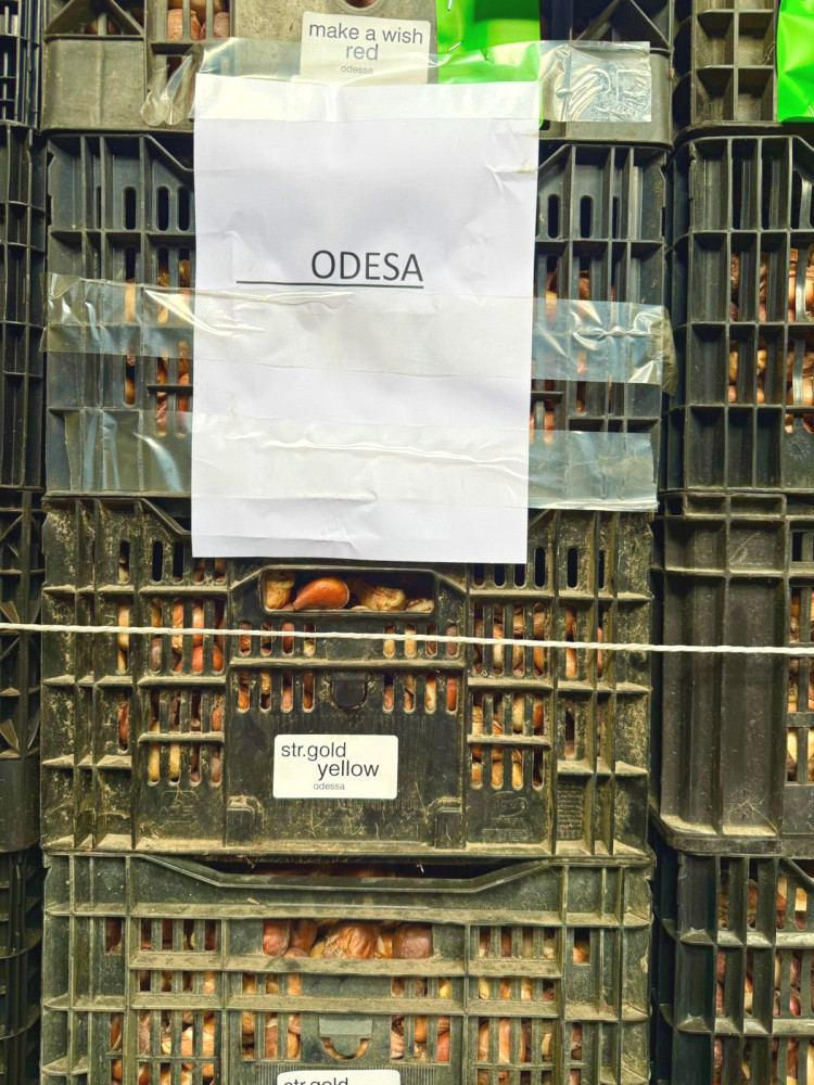 8297 image for slide