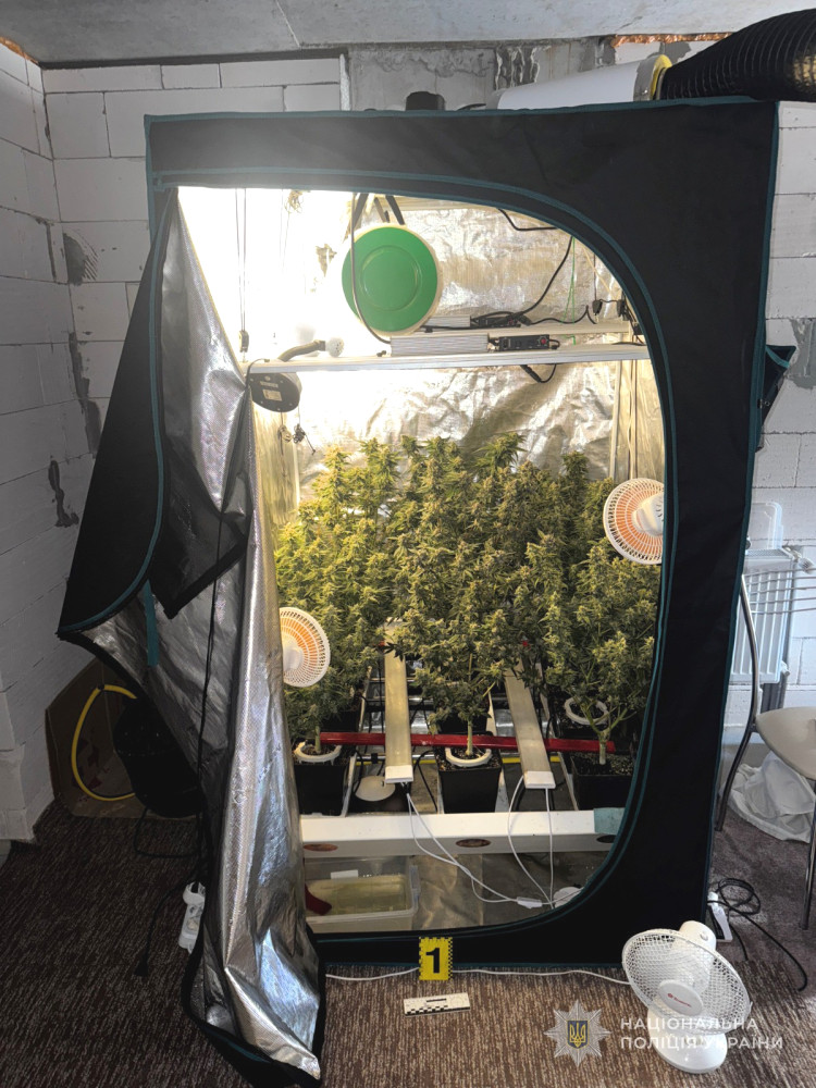 8332 image for slide