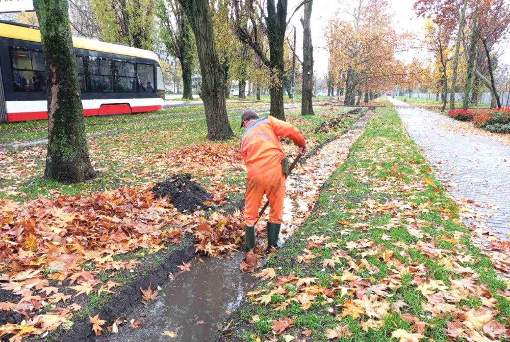 8550 image for slide