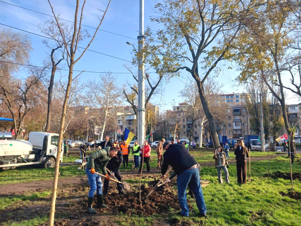 8756 image for slide