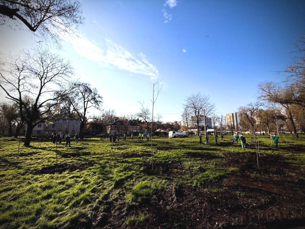 8757 image for slide