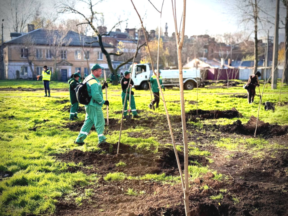 8758 image for slide