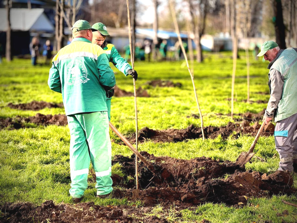 8759 image for slide