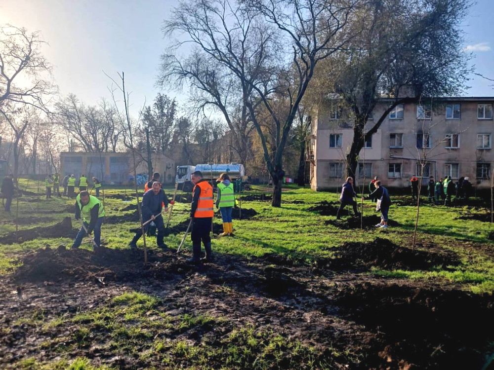 8761 image for slide