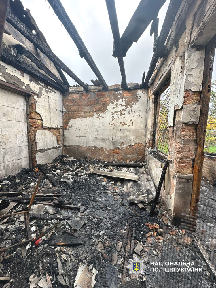 8784 image for slide