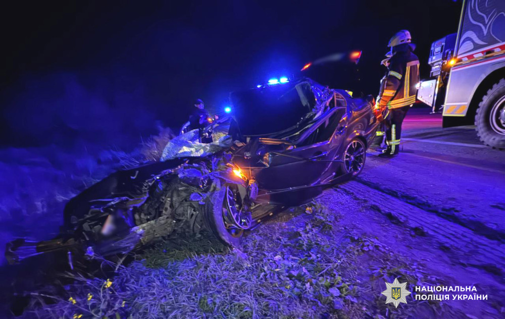 8795 image for slide