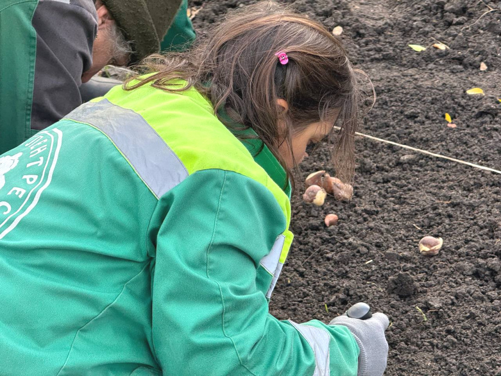 8811 image for slide