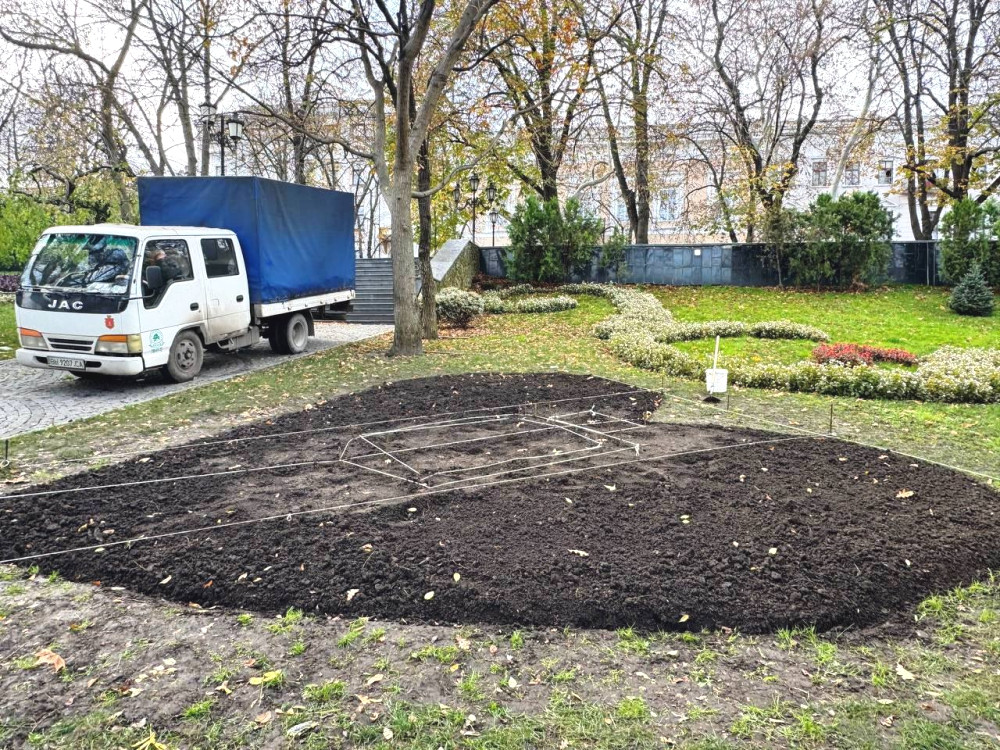 8815 image for slide