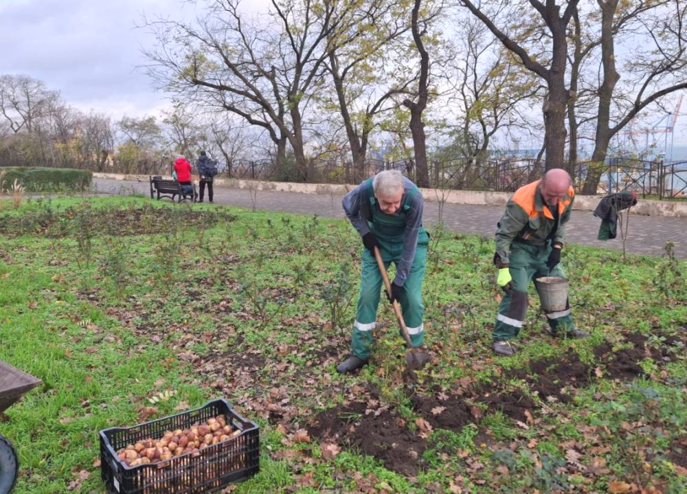 8817 image for slide