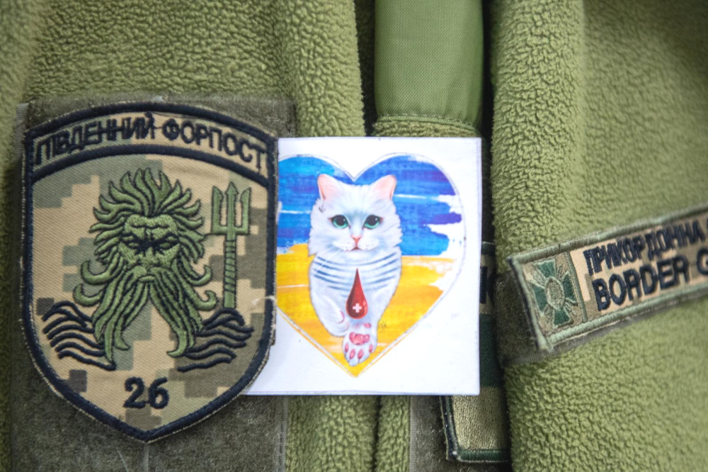 8851 image for slide