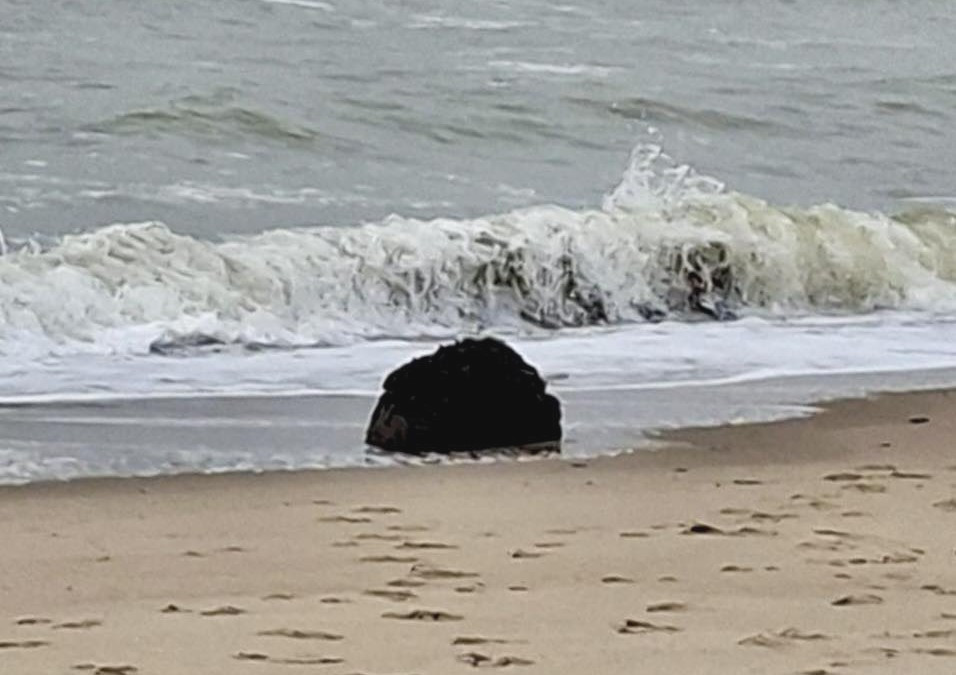 8897 image for slide