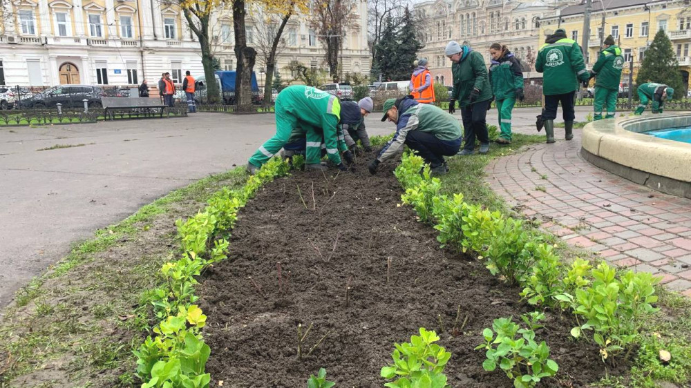 8974 image for slide