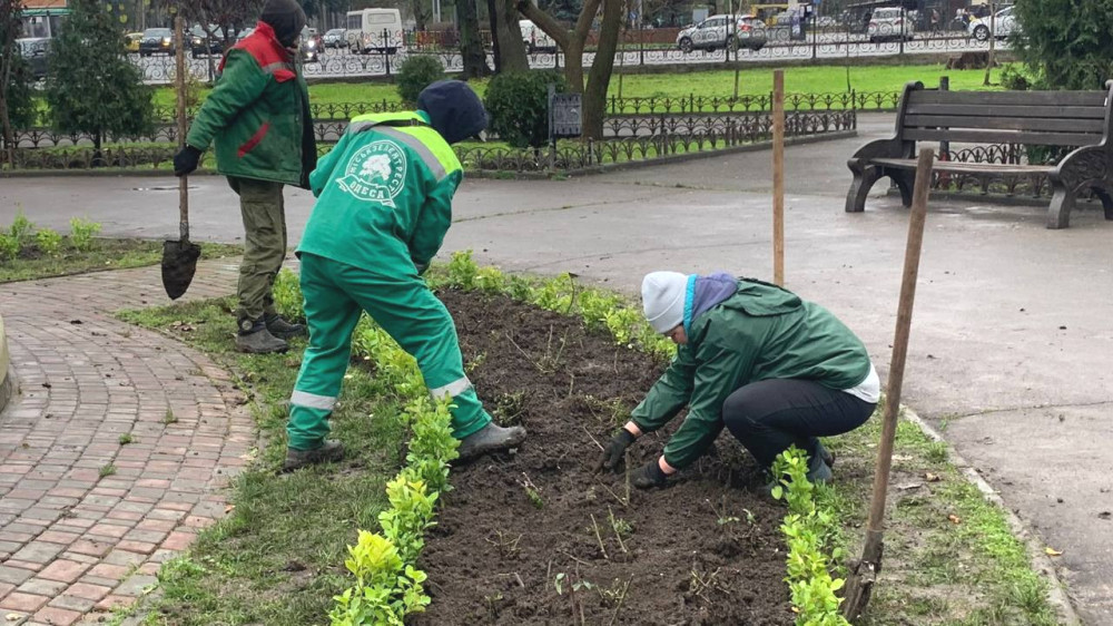 8975 image for slide