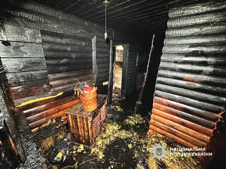 9032 image for slide