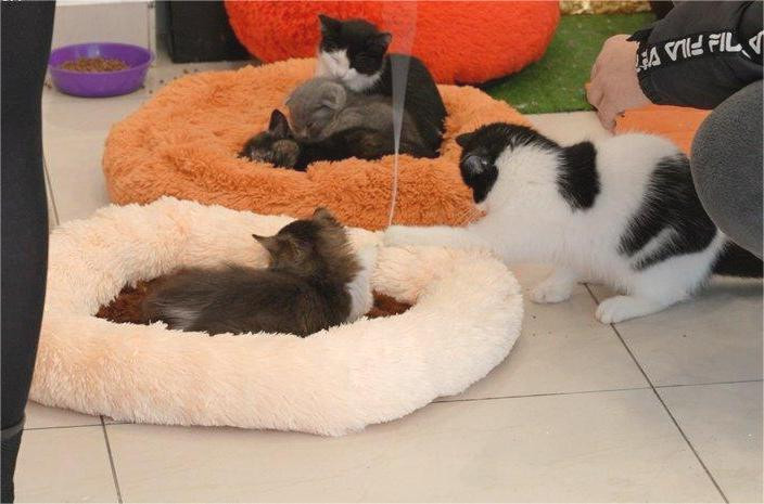 9090 image for slide