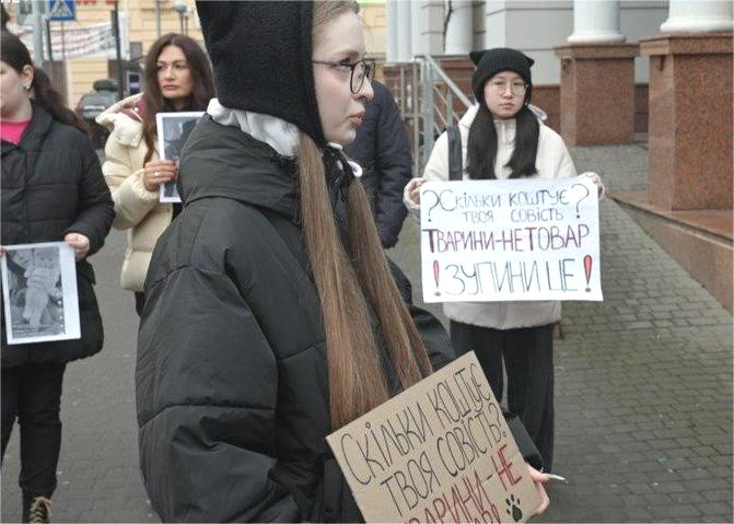 9091 image for slide