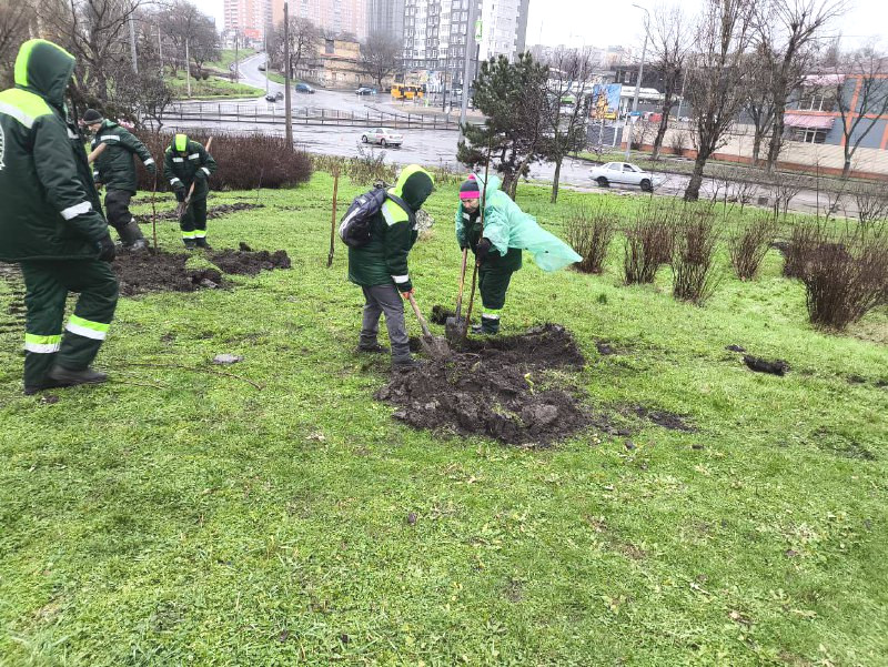 9181 image for slide