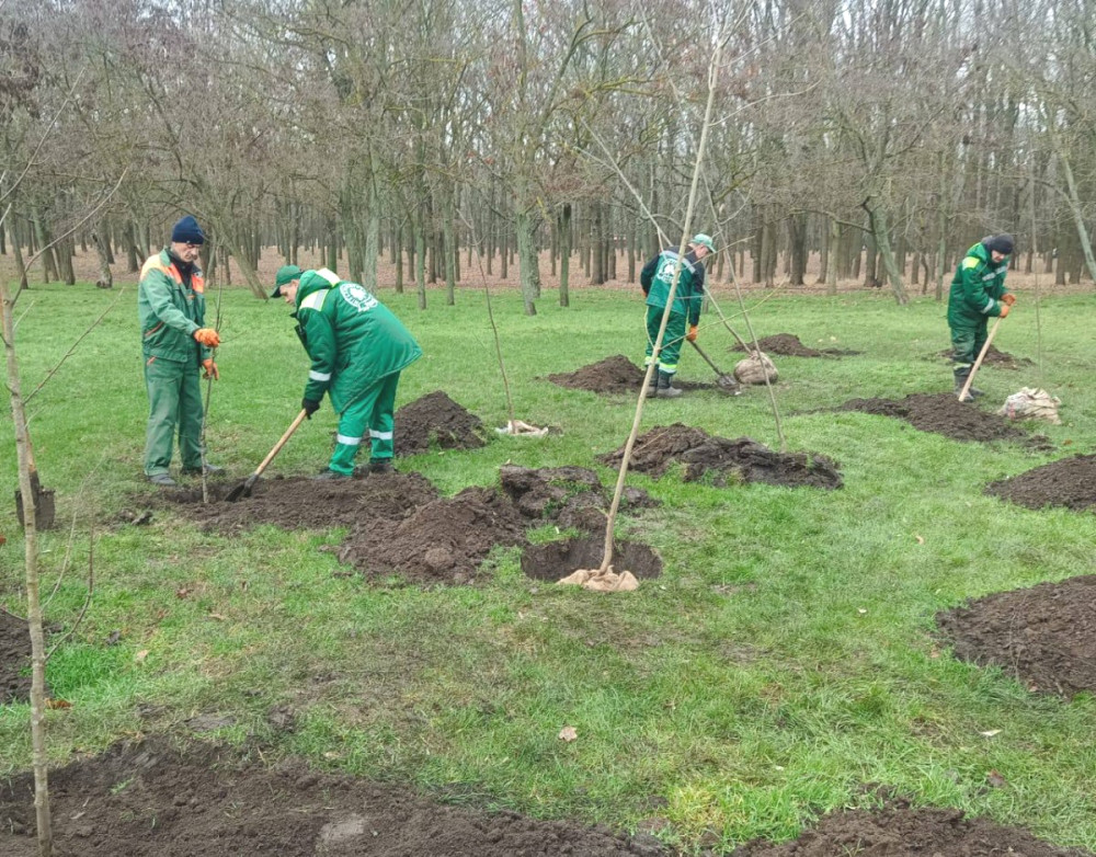 9182 image for slide