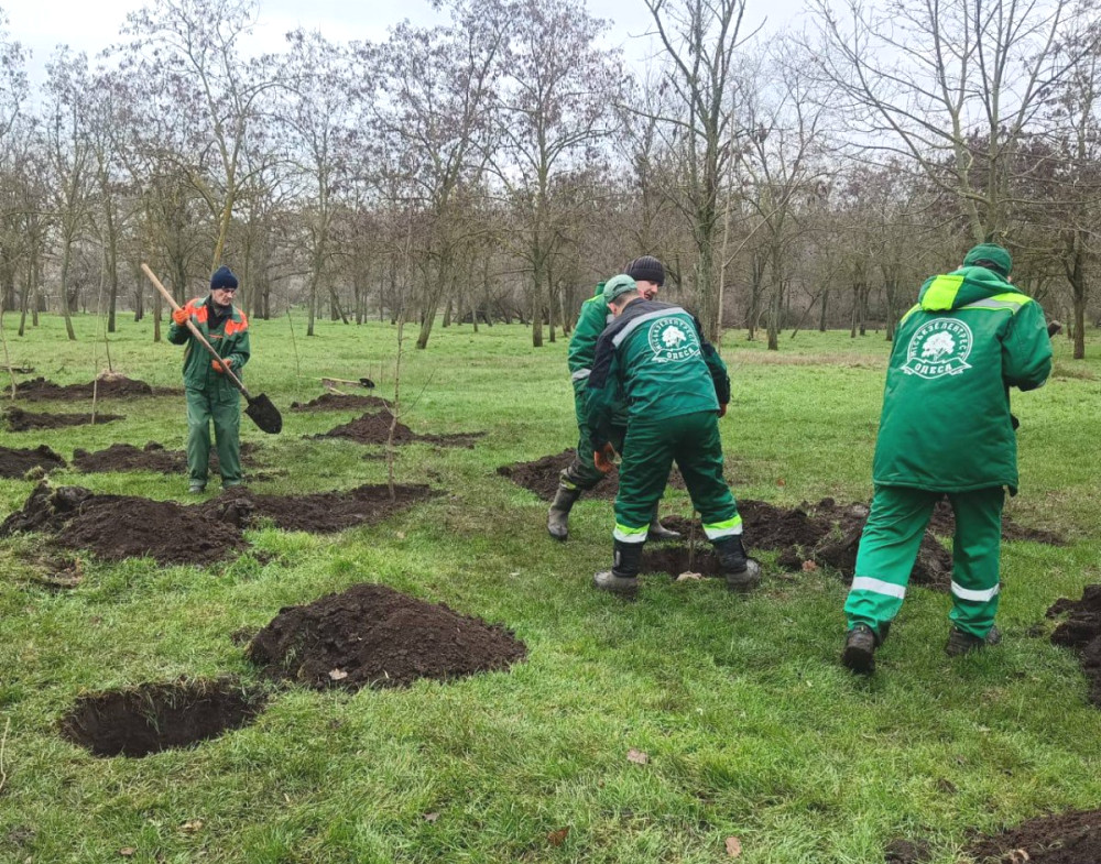 9183 image for slide