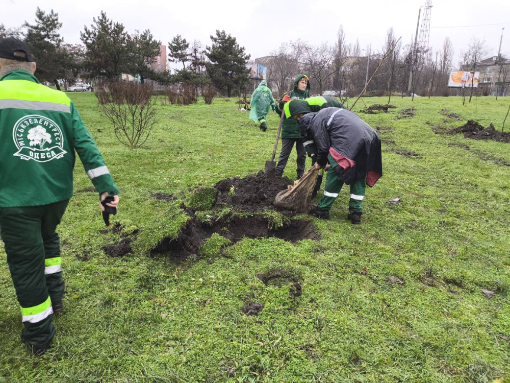 9184 image for slide