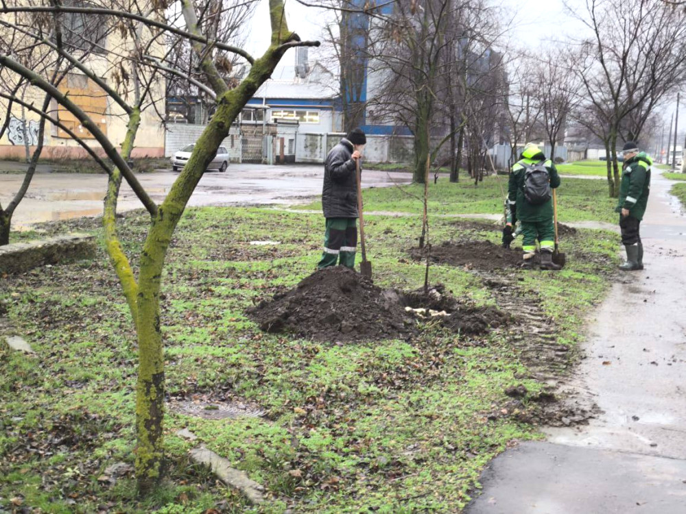 9185 image for slide