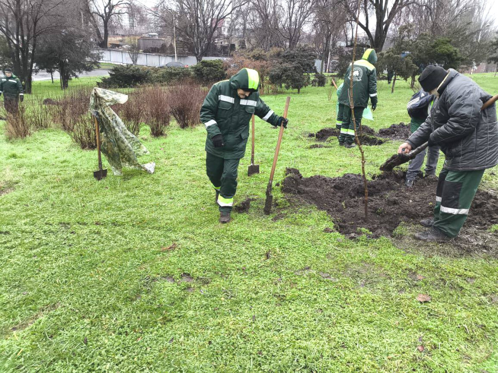 9187 image for slide