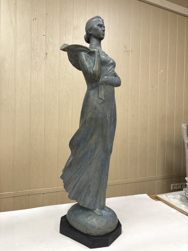 9300 image for slide